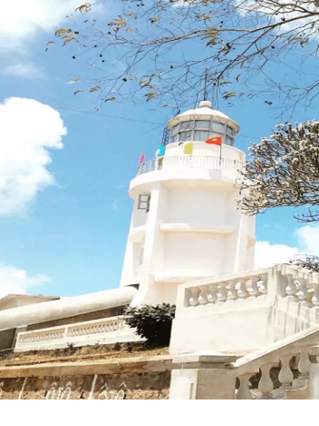   TOUR DU LỊCH BÌNH DƯƠNG ĐI VŨNG TÀU 2 NGÀY 1 ĐÊM