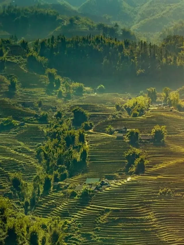   Kinh nghiệm mới khi đi Sapa tháng 12: Khám phá cảm giác lạnh tê tái và săn cả 'biển mây' về nhà