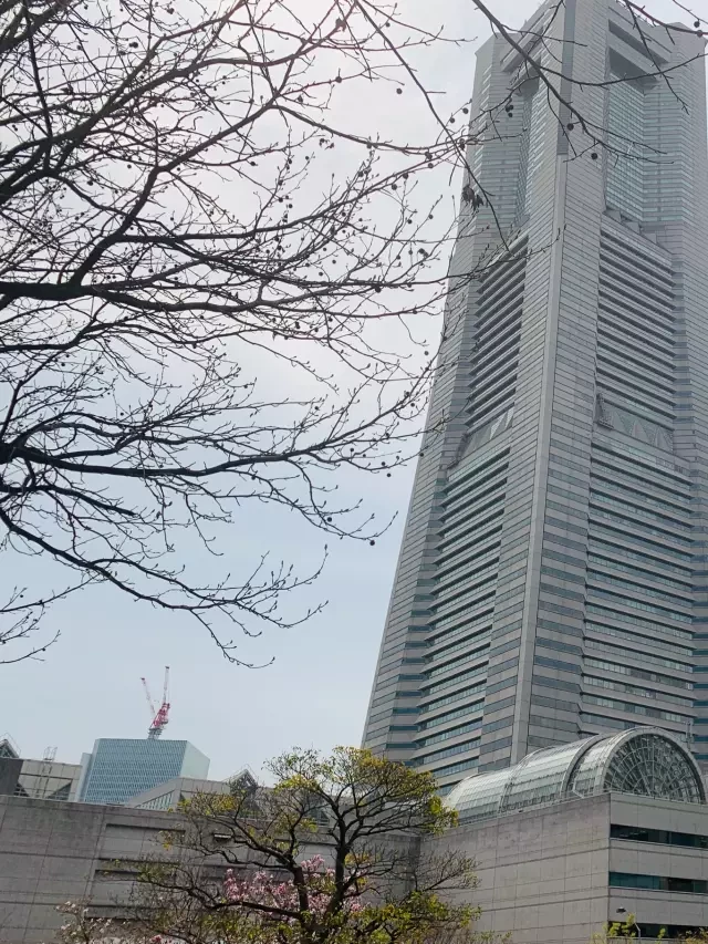   Khám phá Yokohama – Du lịch trong ngày từ Tokyo