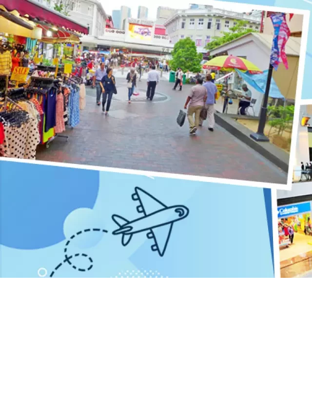   Kinh nghiệm du lịch tự túc Singapore từ A-Z năm 2024