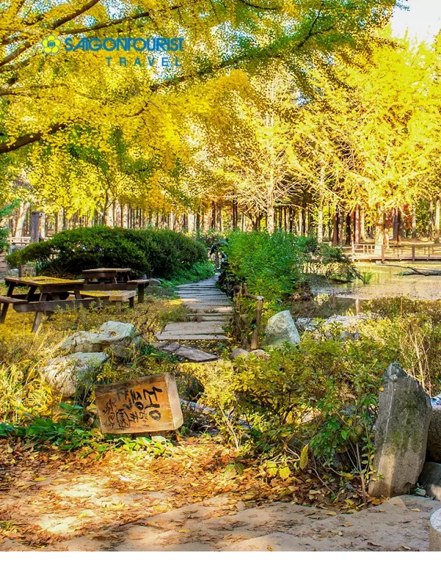   Du lịch Hàn Quốc: Thành phố Seoul, Đảo Nami và Làng Cổ Hanok
