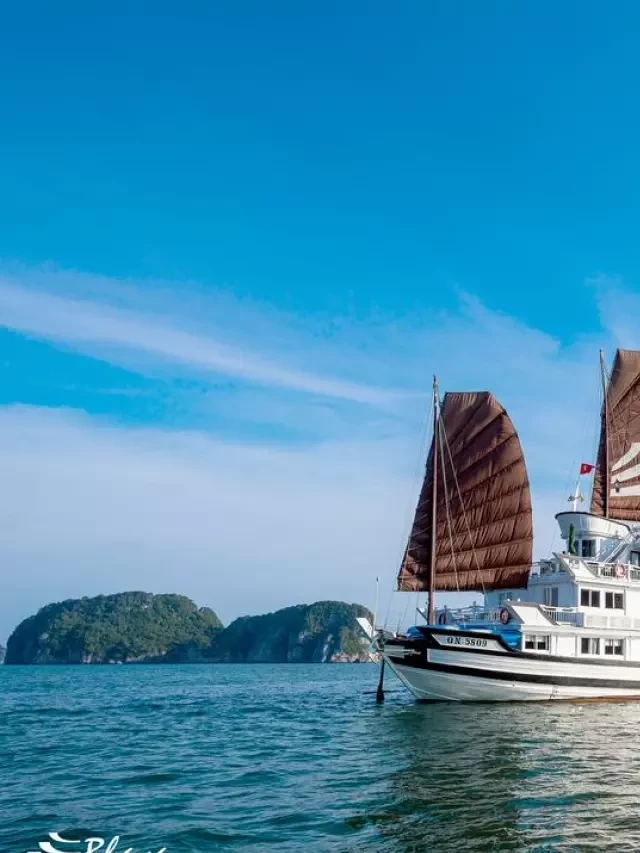   Top 8 Du thuyền 4 sao sang chảnh nhất vịnh Hạ Long