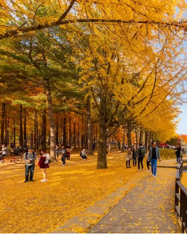   Trải nghiệm du lịch Hàn Quốc 2022: Khám phá vẻ đẹp thơ mộng của xứ sở Kim Chi