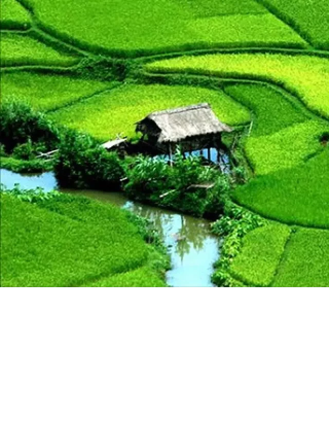   Tour ghép Mai Châu Mộc Châu 2 ngày 1 đêm
