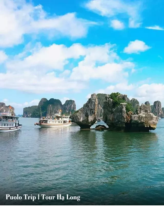   Tour Hạ Long – Khám phá di sản thế giới 2024