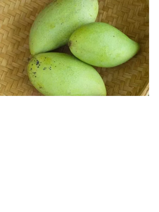   Cách làm xoài dầm giòn ngon, cay ngọt vừa ăn vừa xuýt xoa thích thú