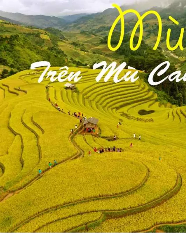   Tour Mù Cang Chải 3 Ngày 2 Đêm: Khám Phá Vẻ Đẹp Tuyệt Đẹp Của Miền Bắc