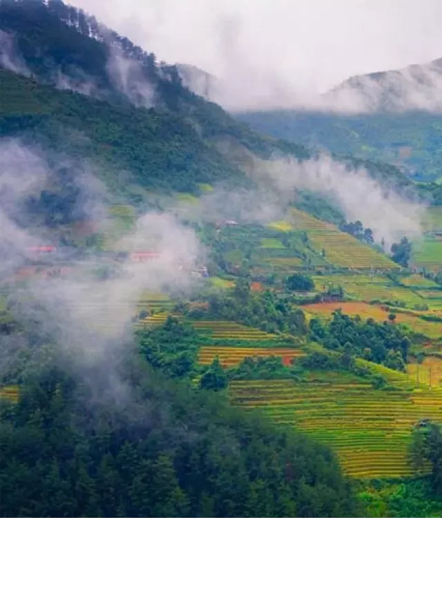   [Bỏ Túi] Những Kinh Nghiệm Du Lịch Thú Vị Tại Mù Cang Chải Tháng 11
