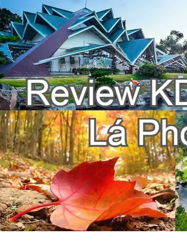   Review khu du lịch Lá Phong: giá vé, cảnh đẹp, đường đi?
