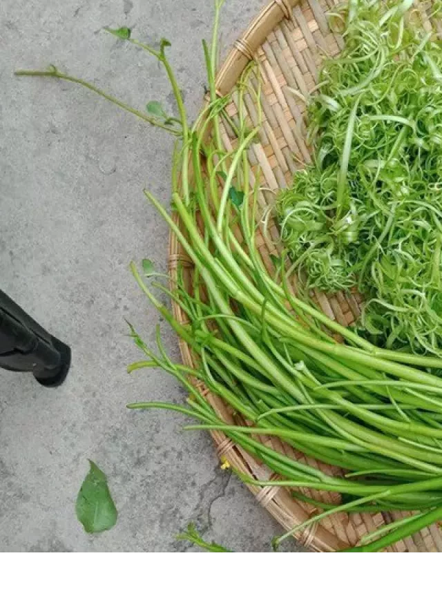   Lẩu gà lá giang: Tìm rau kết hợp hòa quyện hương vị!