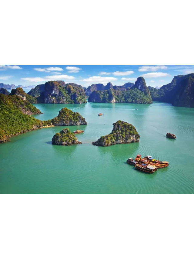   Du lịch Hạ Long: Khám phá từ A đến Z (Cập nhật thông tin mới nhất 2024)