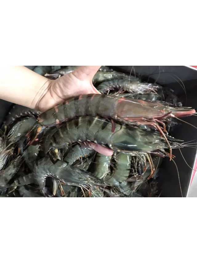   Học ngay 3 cách nấu lẩu hải sản thơm ngon dễ làm, chuẩn vị nhà hàng ngay tại gia đình