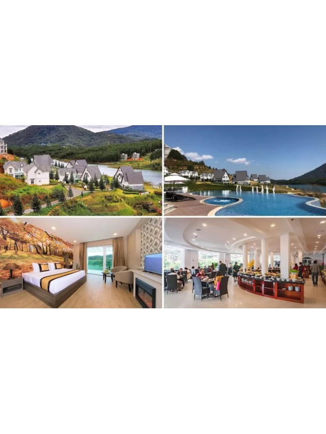   Top 20 Resort Đà Lạt giá rẻ đẹp gần Hồ Tuyền Lâm view rừng thông nổi tiếng