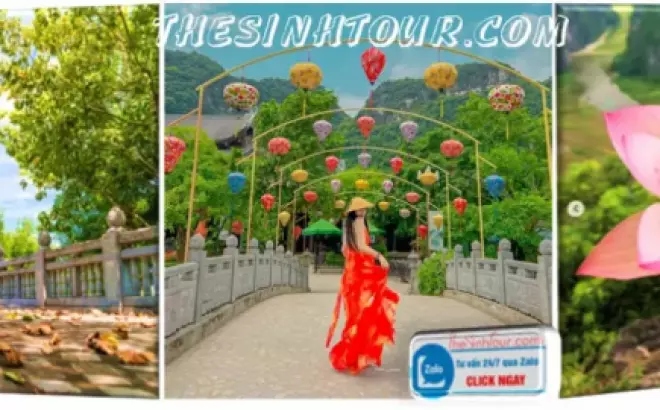 Tour Bái Đính - Tràng An - Hang Múa 1 ngày: Khám phá vẻ đẹp thiên nhiên tại Ninh Bình