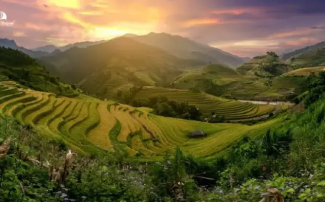 Top Các Địa Điểm Check-in Độc Đáo tại Mù Cang Chải
